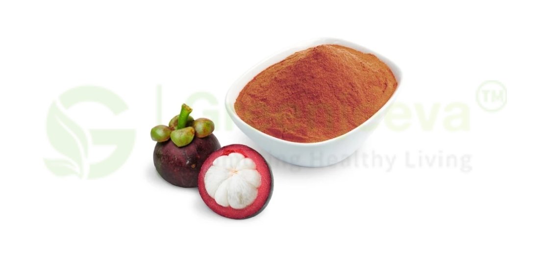 Mangosteen Powder in Food & Beverage Manufacturing 